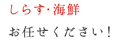 しらす・海鮮お任せください！